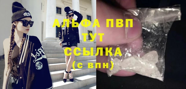мдпв Рославль