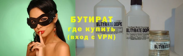 сатива Верея