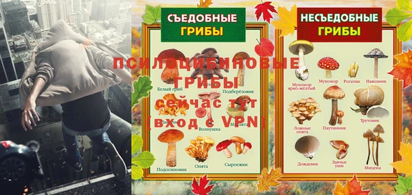 PSILOCYBIN Верхний Тагил