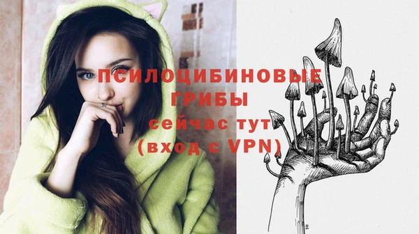 сатива Верея