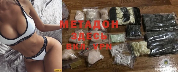 сатива Верея