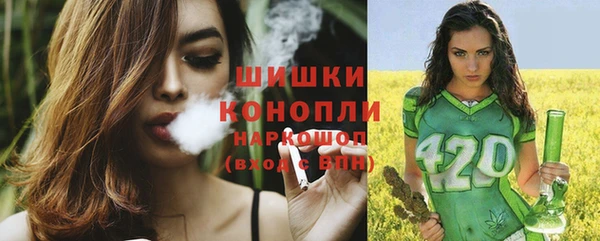 PSILOCYBIN Верхний Тагил