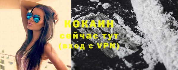 PSILOCYBIN Верхний Тагил