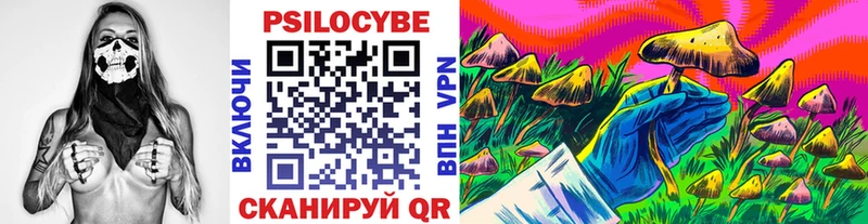 наркошоп  Ирбит  МЕГА маркетплейс  Псилоцибиновые грибы Cubensis 